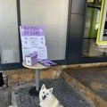 Peticija o primeni zakona o dobrobiti životinja