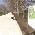 Sprema se seča stotina stabala na beogradskom Ušću za potrebe EXPO-a