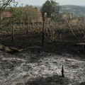 Гламочић: Обезбедићемо помоћ пољопривредним домћинствима која су претерпела штету од пожара