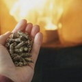 Kako odabrati adekvatnu vrstu peleta