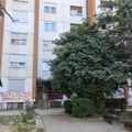 Tragedija u Nišu: Tela majke i sina pronađena u stanu, oglasile se komšije: "Danima se osećao neprijatan miris u zgradi" (foto)…