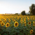 Još jedan sunčan dan, temperatura i do 32 stepena