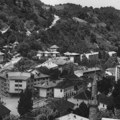 Tronožac na jednoj nozi – rastanak se primakao
