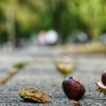 Letnje temperature i danas, ali stiže zahlađenje sa zapada tokom noći