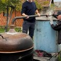 Princ Karađorđević peče rakiju na imanju: Postavio kazan i pripremio voće, pa sinu pokazao kako se sprema