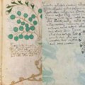Misteriozni rukopis star šest vekova Vojničev rukopis konačno dekodiran, čuva seksualne tajne? (foto)