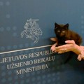U ministarstvu spoljnih poslova Litvanije udomili crno mače i dodelili mu važnu funkciju