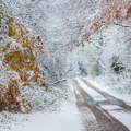 Magla, mraz i naglo zahlađenje! Temperature će padati iz dana u dan!