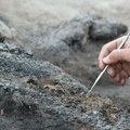 "Evolucija ne funkcioniše tako": Naučnici na tragu nove vrste ljudskog pretka