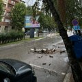 Olujno nevreme zahvatilo Čačak, vetar obarao drveće