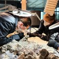 (Foto) Više od 2.000 volontera u Poljskoj obnavlja skelet praistorijskog predatora