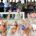 "Grizemo mi, ali grizu i Crnogorci"! Vaterpolo haos dobio neočekivan nastavak