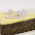 Plazma mak torta bez pečenja: Kremasta poslastica sa belom čokoladom koja se pravi začas