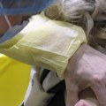 Počela vakcinacija protiv sezonskog gripa, distribuirano 300.000 doza, evo kome je najpotrebnija imunizacija