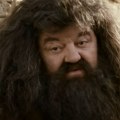 I Hagrid će biti deo "Hari Poter" serije: Poznato je ko će ga glumiti