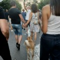 Pumpica – ulični pas u Kraljevu koji ne propušta proteste!