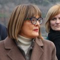 Maja Gojković osudila napad na Sandru Božić: "Novi primer izliva nasilja blokadera"