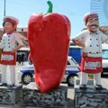 На Роштиљијади у 2025. години потрошено скоро 20 милиона динара из буџета Лесковца