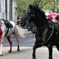 Krvavi konji kraljevske garde izazvali haos u Londonu