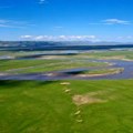 Promene vegetacije ubrzale klimatske promene tokom kasnog miocena