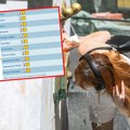 Pogledajte mapu: Popaljeni meteo-alarmi u Srbiji zbog opasnog vremena