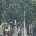 (Foto, video) prve fotografije jezivog sudara na Karaburmi: Povređeni leže na ulici, automobili smrskani do neprepoznatljivosti…