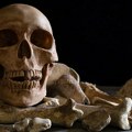 Rešena misterija vitrine s ljudskim kostima: Nećete verovati koliko su stare i ko ih je ostavio na ulici