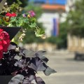 Tokom dana vrućina, popodne mogući kratkotrajni lokalni pljuskovi