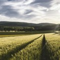 Veći promet i niže cene na Produktnoj berzi