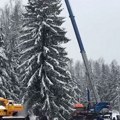 Izabrana jelka koja će krasiti Kremlj, šumar nagrađen automobilom