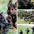 Uvežbava se pretres terena i obavljaju gađanja General Mojsilović obišao "Kobre" na poligonu Peskovi
