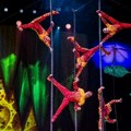 Nova krila, nova čuda: ,"OVO" uzleće u zadivljujuću novu eru! "OVO" by Cirque du Soleil u Beogradskoj Areni u Beogradu od 7…