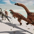 Spektakularno otkriće: Hiljade otisaka dinosaurusa na planini u Italiji