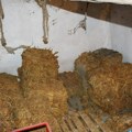 FOTO: Krivična prijava protiv dvojca iz Rume zbog 770 kg nelegalnog duvana