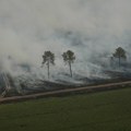 (Foto) Požari pustoše Francusku: Dopisnik Newsmax Balkans otkriva šta je dovelo do vatrene stihije u Žirondi i Bordou