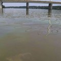 Voda u Dunavu kod plaže Štrand hemijski i bakteriološki ispravna