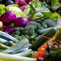 U Novom Sadu u subotu savetovanje o savremenoj proizvodnji povrća