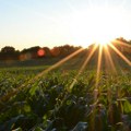 Kroz EIT četiri poziva za agrarne startapove iz Srbije