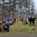 Akcija sadnje novogodišnjih jelki sa busenom nastavljena i ove godine