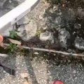 "Srbi su najbolji ljudi" Oduševljenje širom planete nakon novog videa Japanca tokom prolaska kroz Srbiju