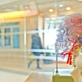 Најчуднија научна открића године: Звуче као шала, а мењају свет