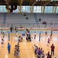 Turnir prijateljstva u Prokuplju okupio odbojkašice iz regiona