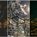 Ujutru i do -20! Ledena noć u Srbiji, u utorak sneg i ledena kiša. Vojvodina posebno na udaru, a onda sledi šok – temperature…