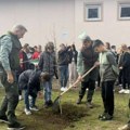 Zasađeno znanje i drveće: Oplemenjeno dvorište OŠ „Petar Nikolić“ u selu Samaila kod Kraljeva