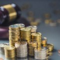 Izvršitelj prodaje imovinu kineske fabrike za reciklažu u Perlezu