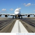 Ptica udarila u nos aviona: Let Iberije ka Parizu prinudno sleteo u Madrid