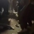 Brutalno ubojstvo u Novom Mestu. Dvoje ministara podnijelo ostavku