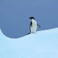 Nova Linux kernel ranjivost može običnom korisniku dati root privilegije