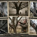 Грешка која може да вас кошта приноса: Ове воћке нипошто не орезујте у јесен