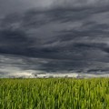 Popodne i uveče nevreme, gradske vlasti pozivaju građane da prijave zapušene slivnike